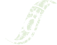 Logo CGF